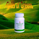 Fields-of-Greens11