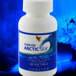 arctic sea31
